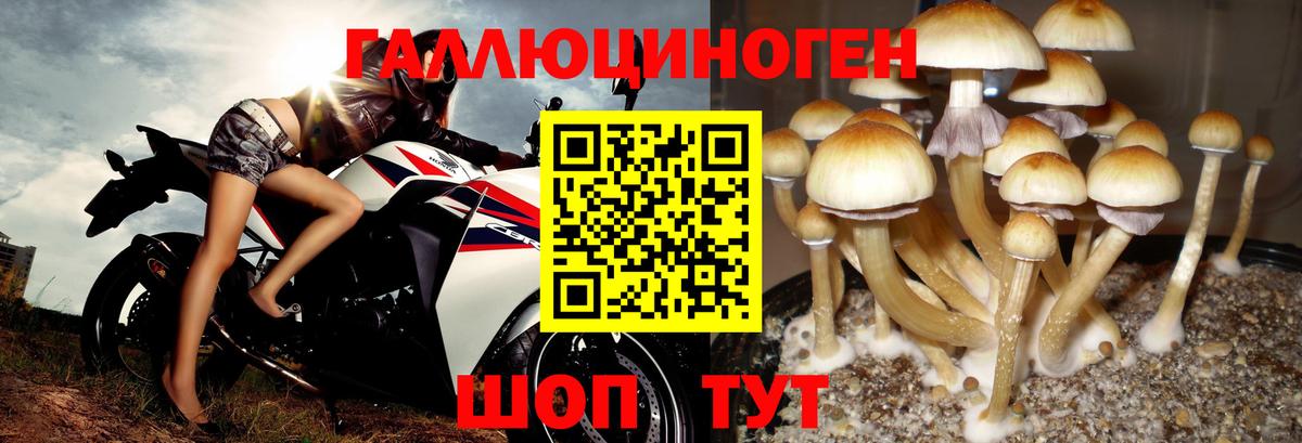 Златоуст  Псилоцибиновые грибы Cubensis  Вход с VPN  Псилоцибиновые грибы ЛСД 