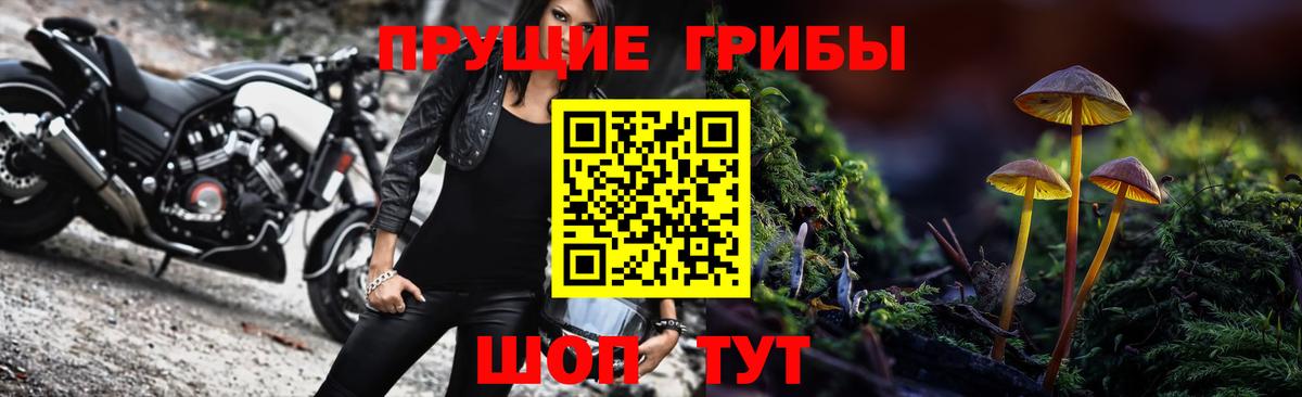 Псилоцибиновые грибы мицелий Златоуст